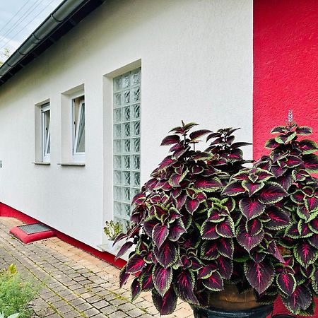 ☆Gemuetliche 1-Zimmerwohnung Mit Terrasse☆ Rielingshausen Dış mekan fotoğraf